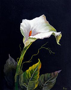 Anthurium von Ria Butter - Gotje