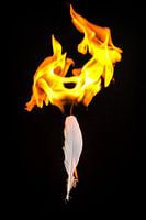 Fire and Flame #4