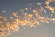 Weiche Wolken bei Sonnenuntergang 4 von Adriana Mueller Miniaturansicht