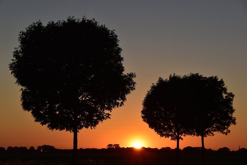 Sunset by Kevin van Scherpenseel