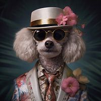 Max, the Trendsetter: A Stylish Toy Poodle with Glasses
