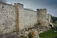 Mittelalterliche Mauern von Jerusalem. Alter Stein, düstere Himmel. Düstere Mauern von Jerusalem von Michael Semenov Miniaturansicht