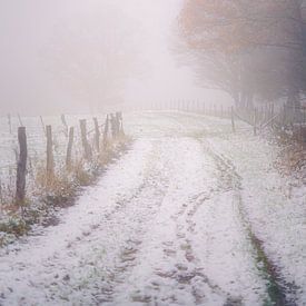 Un chemin enneigé dans la forêt de Hurtgen sur Rik Verslype
