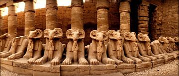 Rammen, bij ruines Egypte van Tom Oosthout