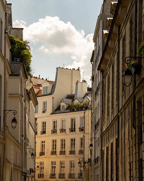 Paris by Robin Missotten