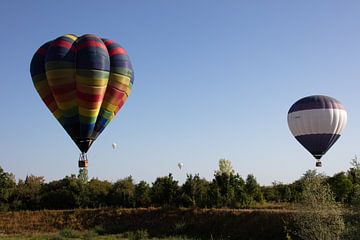 Hete Luchtballon festival van Cornelius Fontaine