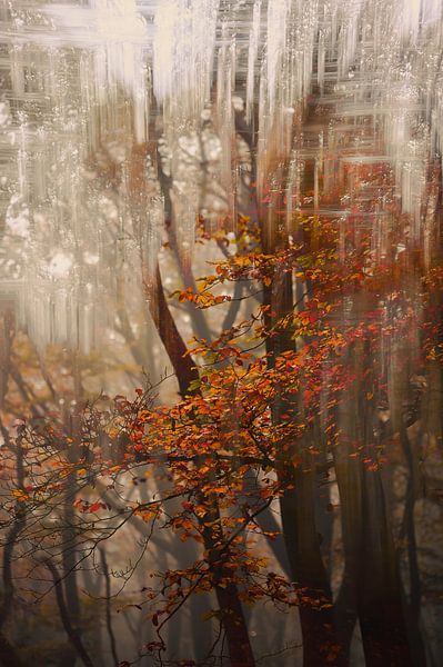 Domaine de Duno partie 35 par Tania Perneel