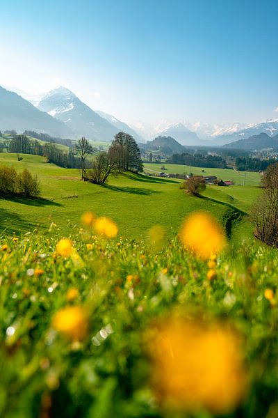 frühlingshafter Blick vom Malerwinkel im Allgäu auf die Allgäuer Alpen von Leo Schindzielorz