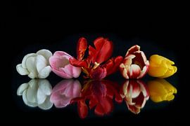 Tulip bouquet with reflection 1 by Doris van Meggelen
