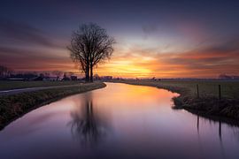 Abeilles du lever du soleil sur Marc Broekman Photography