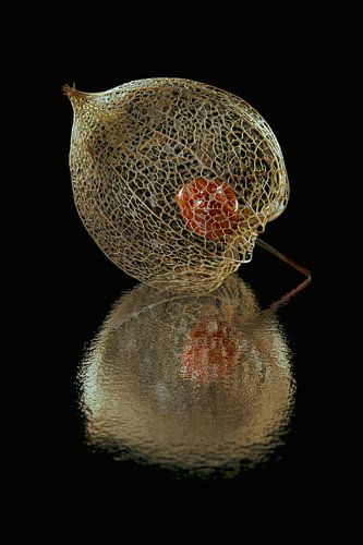 Alone in the dark: Een eenzaam lampionnetje met abstracte reflectie