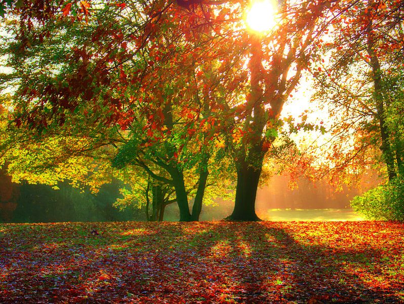 Plaine d'inondation 3 par Edgar Schermaul