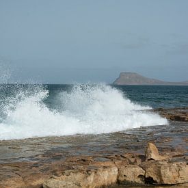 The Lion of Cabo Verde van Ed Cornelissen