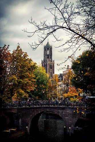 La cathédrale d'Utrecht avec le Bakkerbrug et l'Oudegracht en automne. sur André Blom Fotografie Utrecht