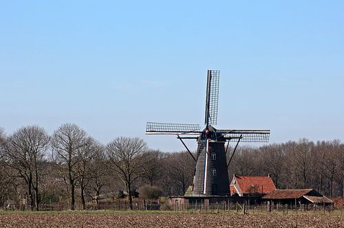 Molen Sint-Petrus te Roggel