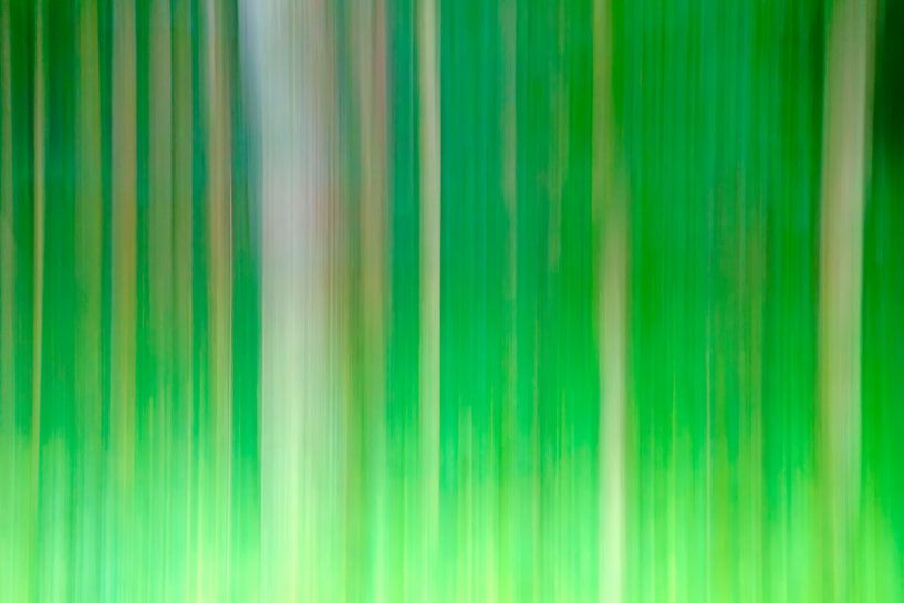 Green by Kirsten Warner