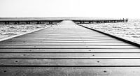 Infinite view