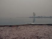 Ein nebliger Morgen am Zuidlaarder See von Patricia Holthof Miniaturansicht