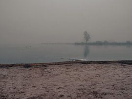Ein nebliger Morgen am Zuidlaarder See von Patricia Holthof