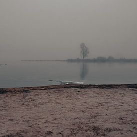 Ein nebliger Morgen am Zuidlaarder See von Patricia Holthof