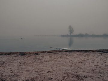 Ein nebliger Morgen am Zuidlaarder See