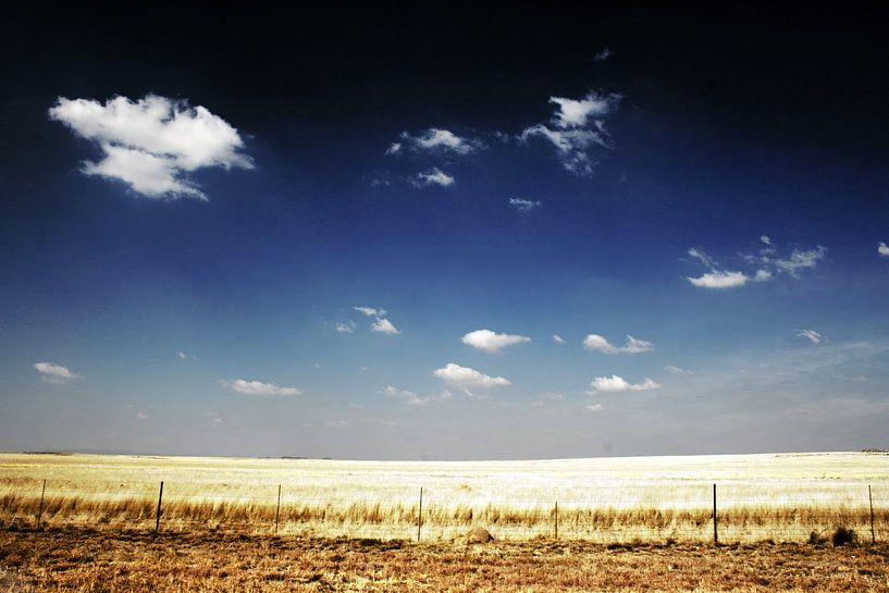 Open veld von Heleen van de Ven