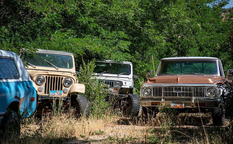Autos abseits der Straße in den USA von Ton Tolboom