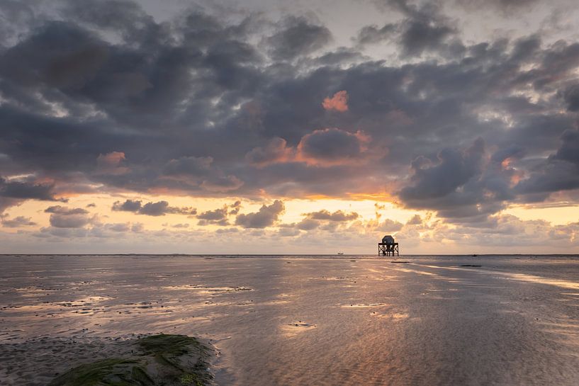 Poste d'observation des oiseaux sur le plateau de l'Anglais au coucher du soleil par KB Design & Photography (Karen Brouwer)