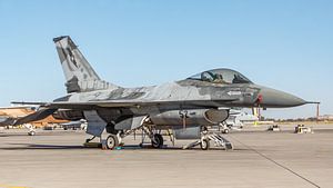L'escouade Agressor du NSAWC à la station aéronavale de Fallon vole sur le F-16 A/B Fighting Falcon.