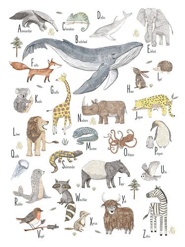 ABC der Tiere von Marion Lesnik