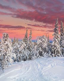 Skigebiet Åre im Norden von Schweden von Hamperium Photography