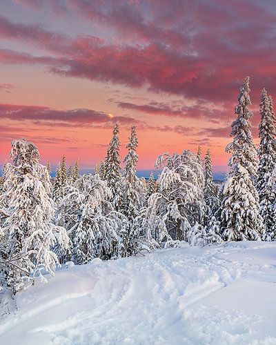 Skigebiet Åre im Norden von Schweden