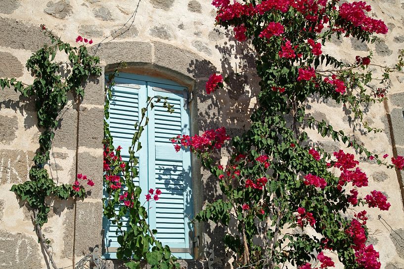 Maison grecque avec bougainvilliers roses par Helga Kuiper
