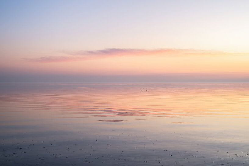 on the IJsselmeer by Pieter Poot