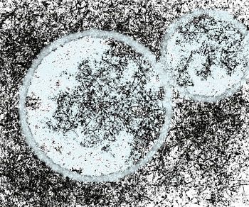 Two moons in silence Lune abstraite moderne minimale