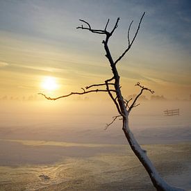 Snowy Farmland van Manuel Meewezen