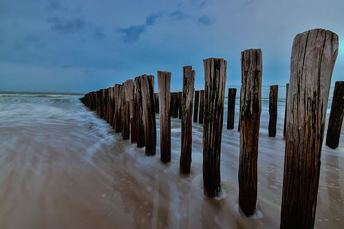 Palen in de zee.