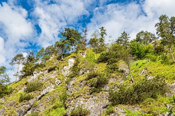 Mountain slope at the Almbachklamm in Berchtesgadener Land