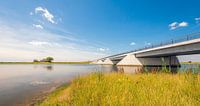 Moderne brug in Noordwaardpolder van Brabantse Biesbosch von Ruud Morijn Miniaturansicht