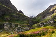 Wunderschöner Ort hoch in den französischen Alpen von Anouschka Hendriks Miniaturansicht