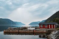 Kleiner Norwegischer Hafen von Mike Landman Miniaturansicht