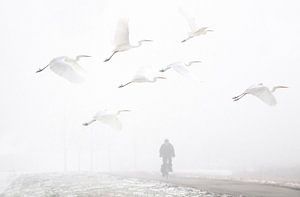 fietser in de mist van Ruurd Jelle Van der leij