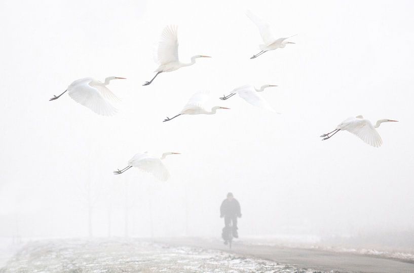 cyclist in the fog by Ruurd Jelle Van der leij