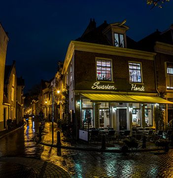 In den Swarte Hond aan het Spaarne in Haarlem 01 van Arjen Schippers