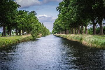 Het kanaal van Mariëlle Pluim