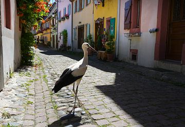 Poke wandeling in Eguisheim in de Elzas van Tanja Voigt