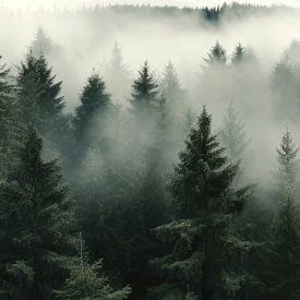 Nebelverhangener Wald von IamHome Studio