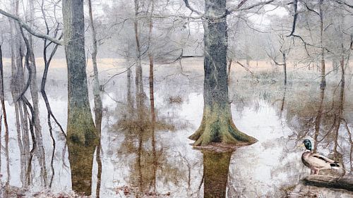 Winterstilte op het Leersumse Veld
