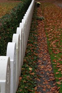 Rangée de pierres tombales sur le champ d'honneur militaire du Grebbeberg.