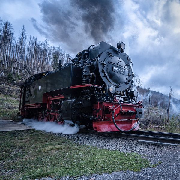 Narrow-gauge railway in the Harz Mountains by Leinemeister